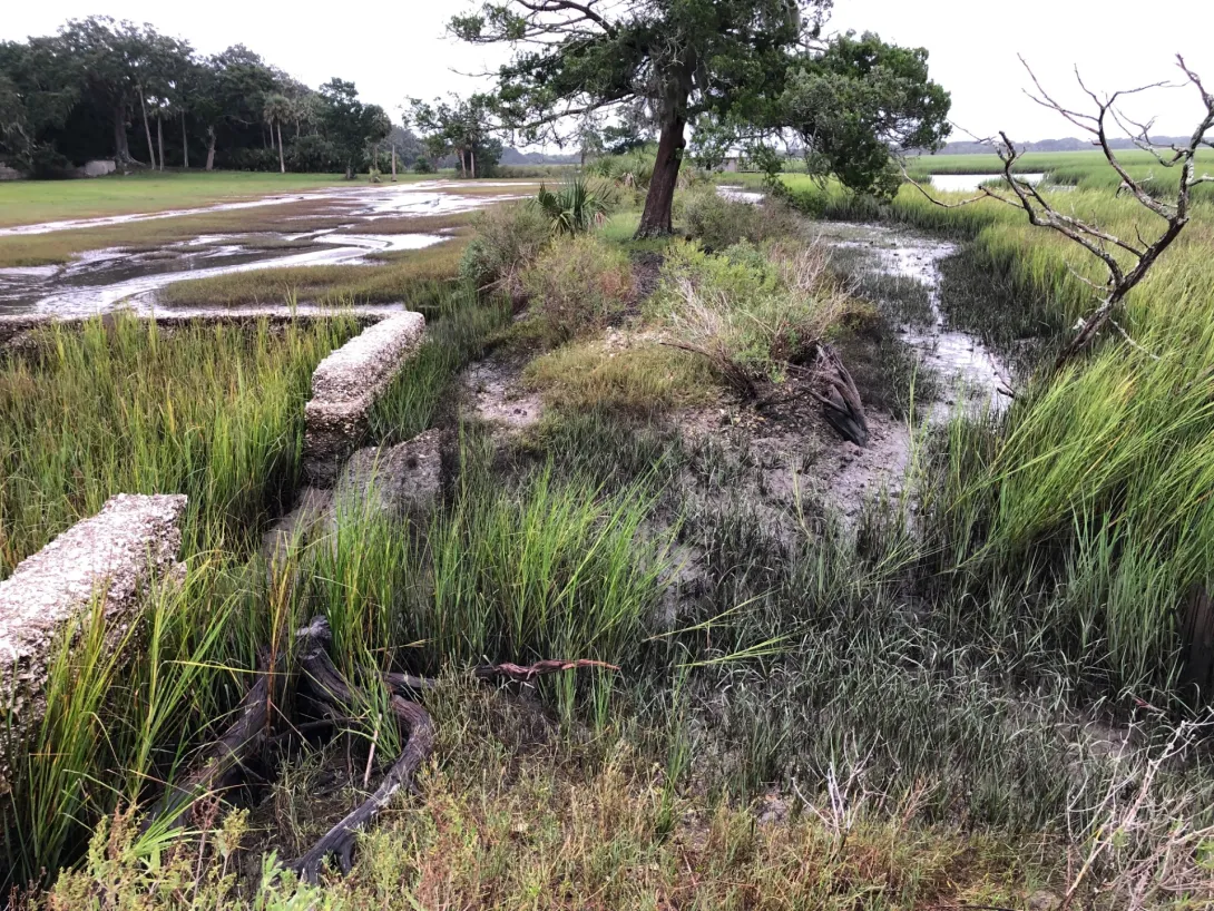 Erosion around the historic property “Dungeness” on Cumberland Island, Georgia.
