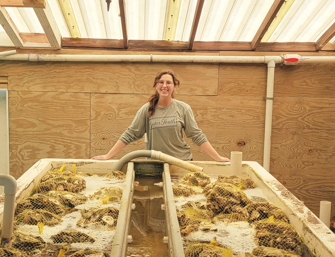 Sarah Roney oversees nursery troughs in the UGA Shellfish Research Lab filled with young oysters growing on shells recycled from restaurants all over Georgia.