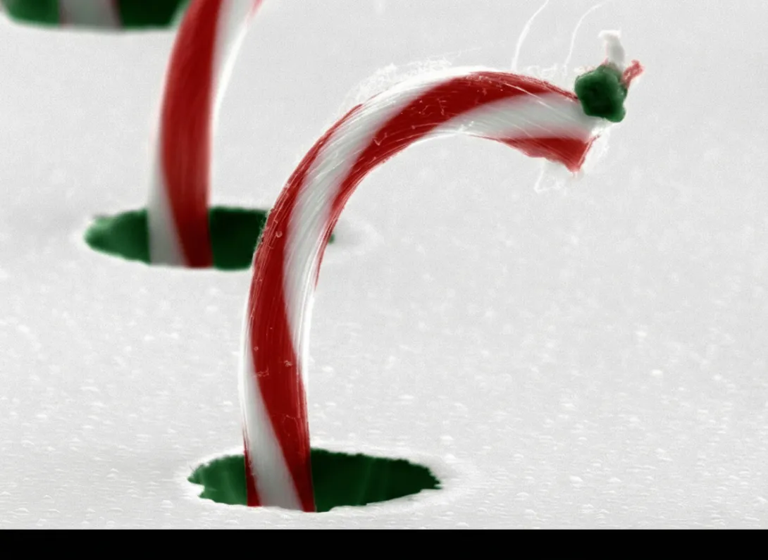 Close-up of nano tubes modified with red and white stripes to appear as canes standing upright in white foam, with green tips visible at the base. The shallow depth of field blurs the background, emphasizing the curved stripes and texture.