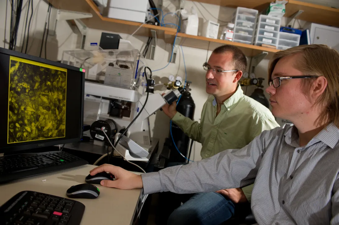 Become a Petit Mentor