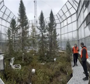 Postdoctoral Researchers Caitlin Petro and Borja Aldeguer-Riquelme inside a SPRUCE chamber in 2023.