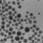 Stem cell bioprocessing