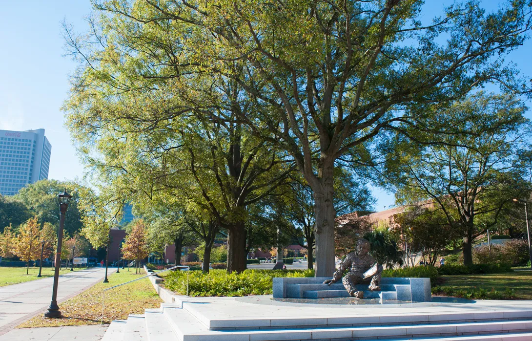Trees around Einstein