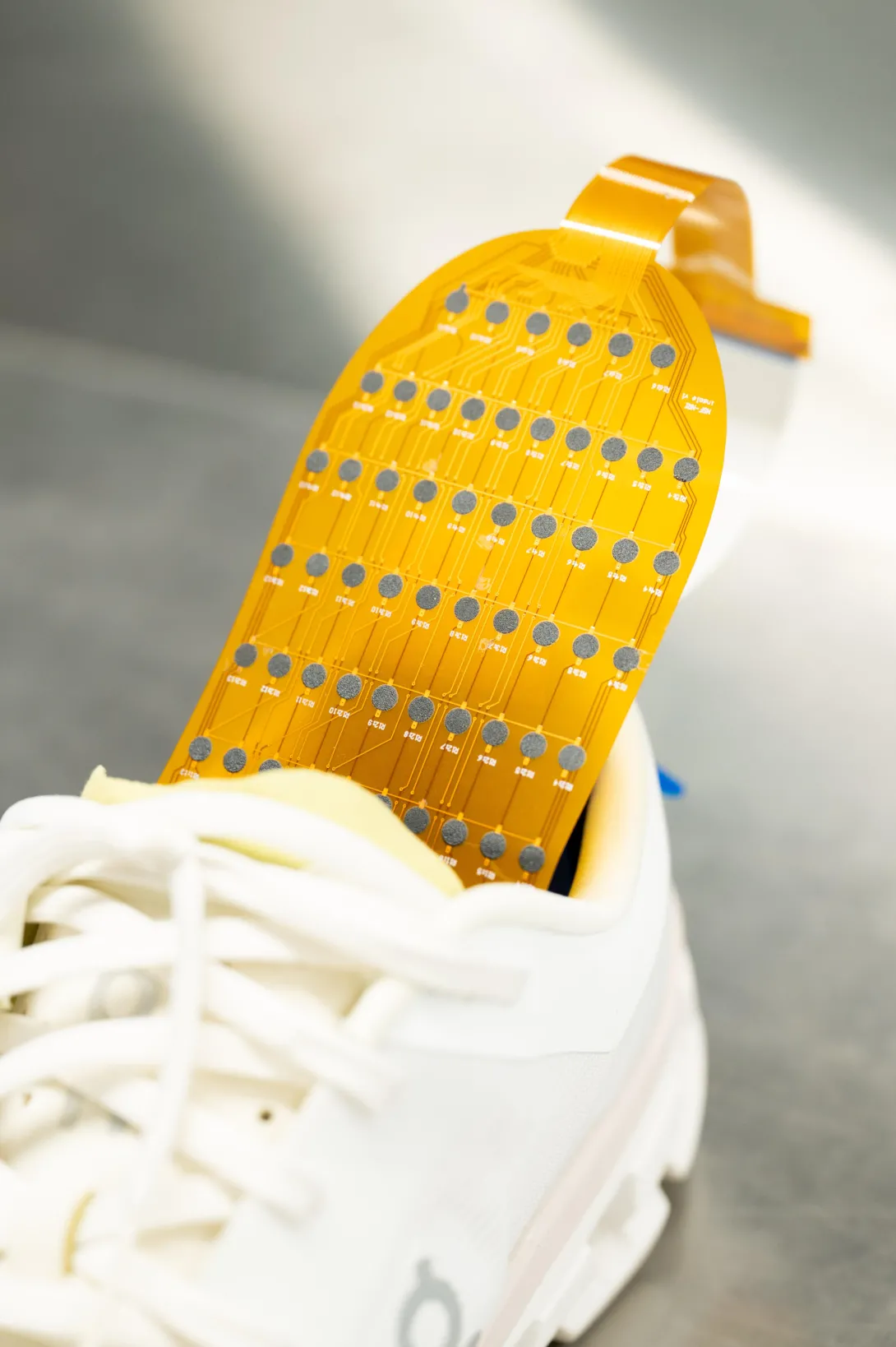 Shoe insert
