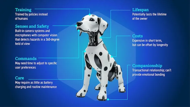 A graphic depicts design considerations for the prototype.
