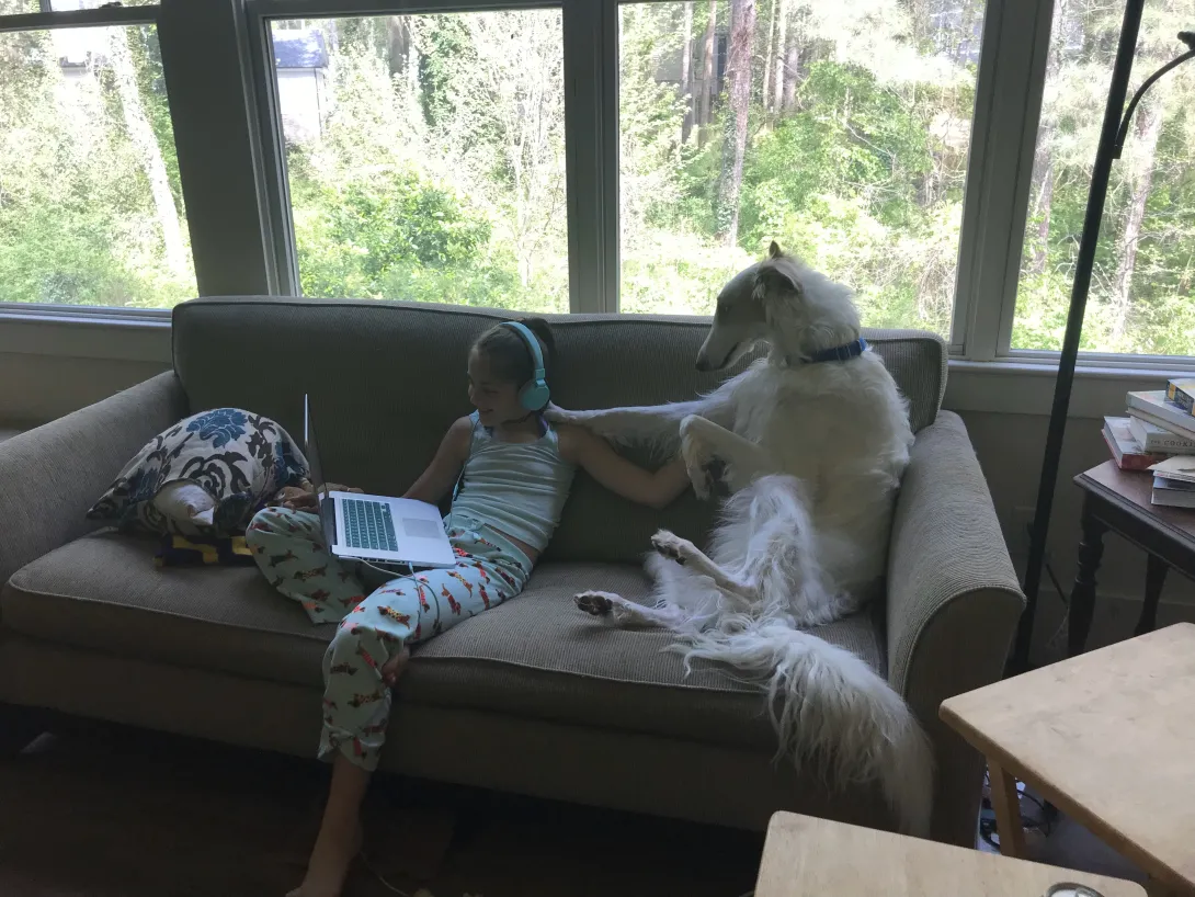 Frankie and Boris on the couch playing