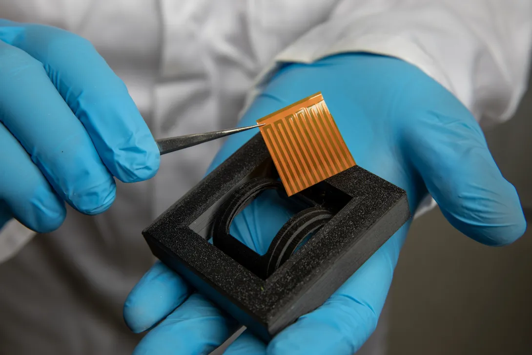 A photo of a sample similar to the one that will be sent to the International Space Station. 