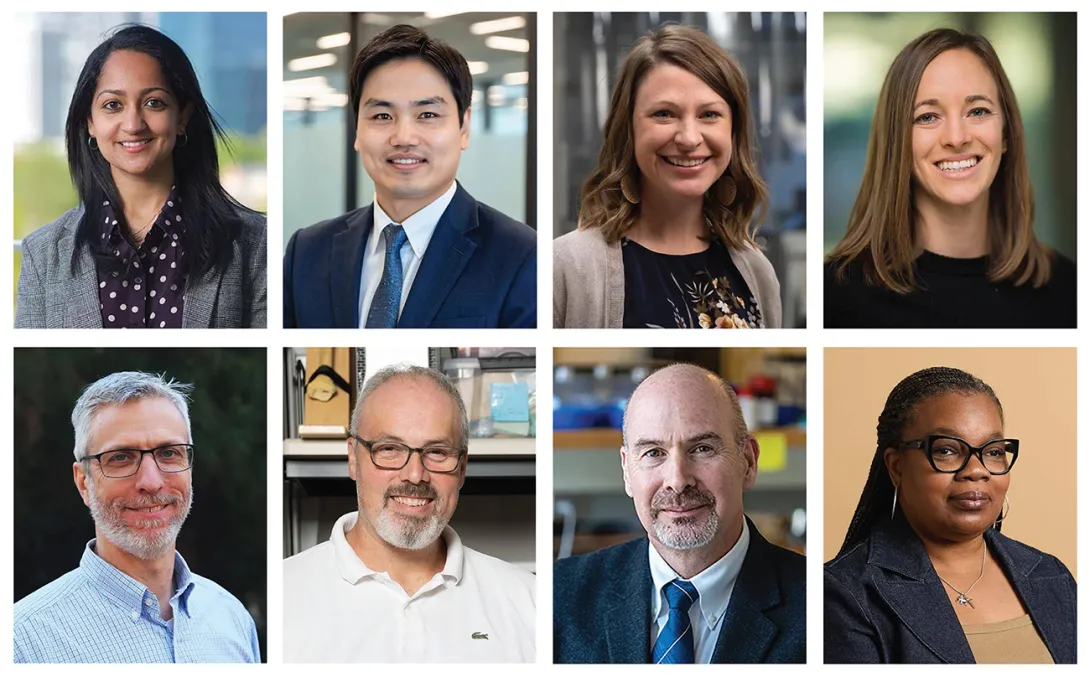 College Recognizes 8 Faculty Members with Excellence Awards