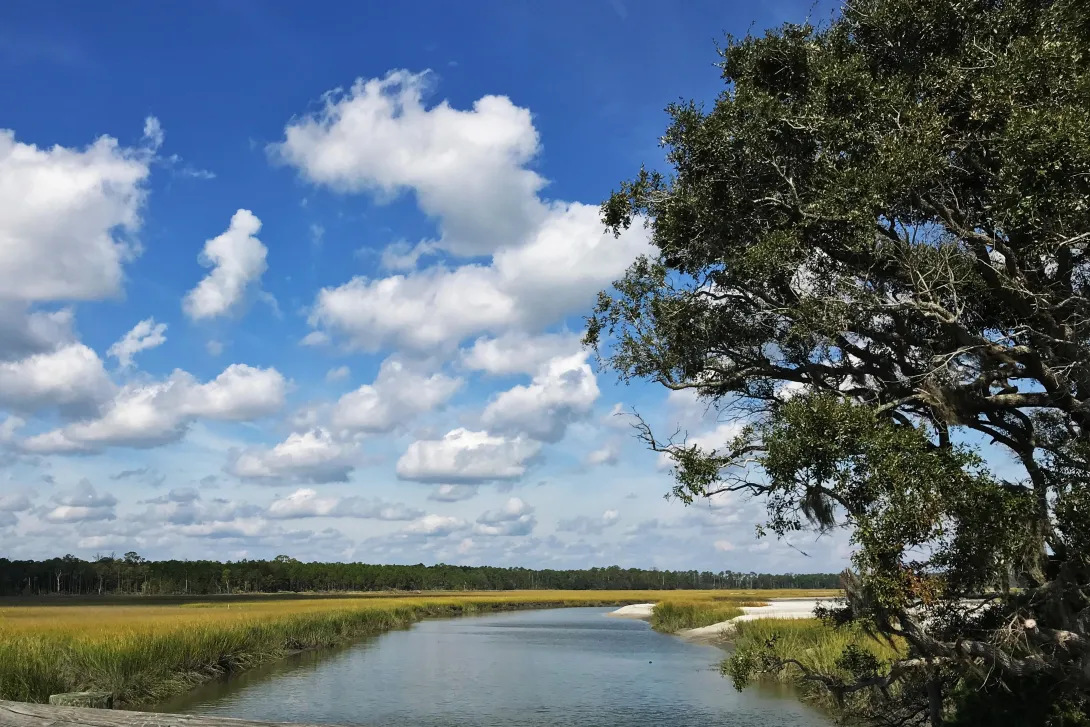 A salt marsh waterway is lined by cord grasses, sand, and trees. The sunny cerulean sky is dotted with clouds.