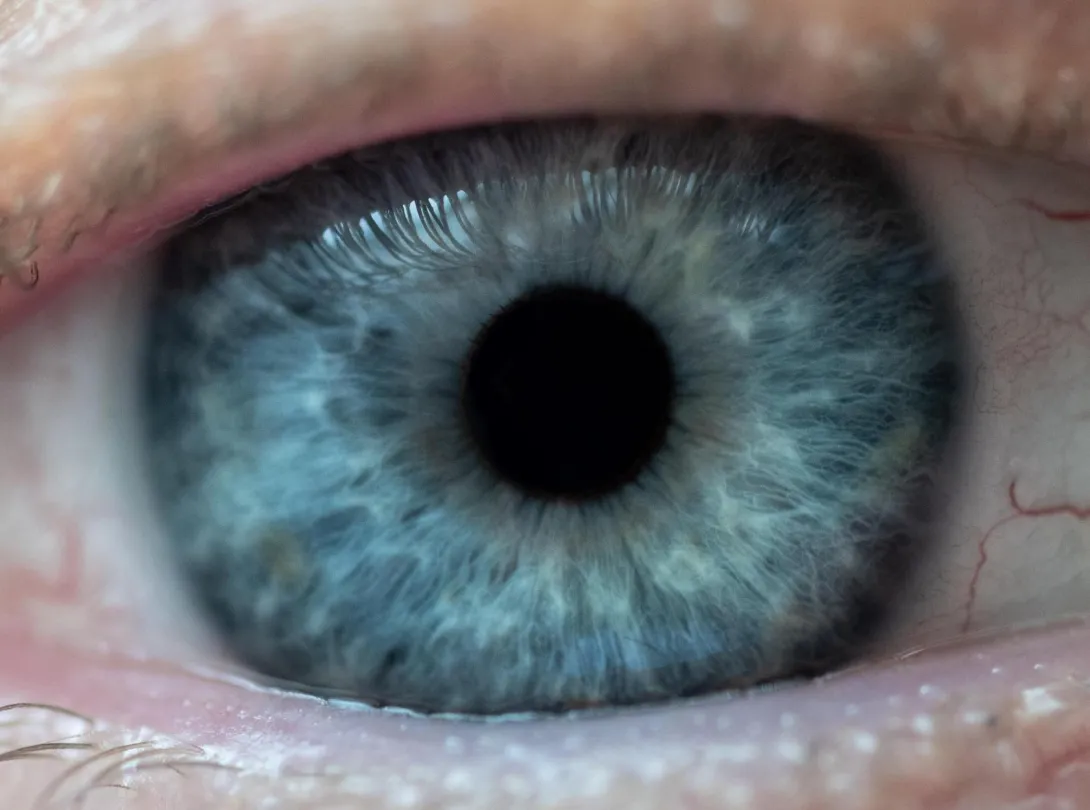 Close-up of eye