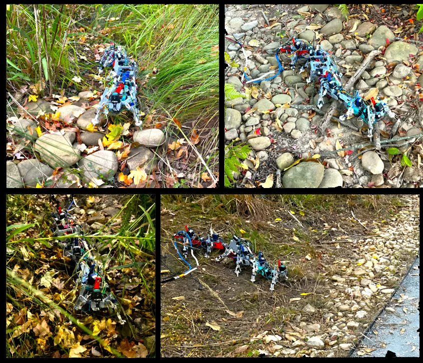 A centipede based multi-legged robot exhibiting locomotion on rugged landscapes