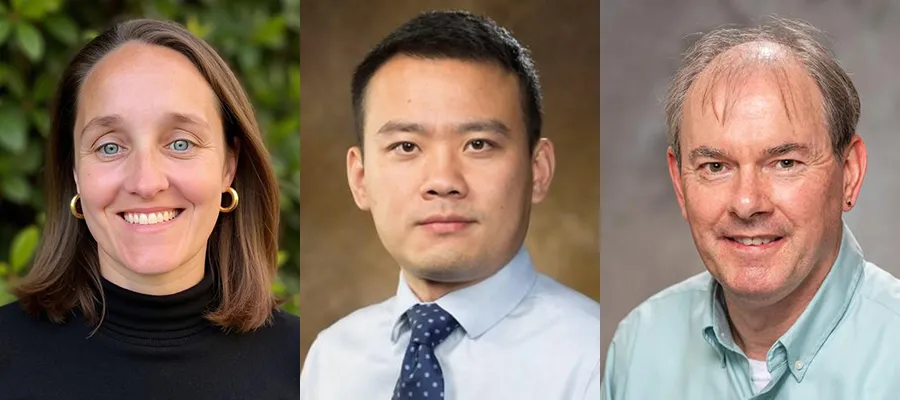 "Three side‑by‑side headshot portraits showing individuals from the shoulders up against different backgrounds. The left image shows a person wearing a black top with greenery behind them, the center image shows a person in a light blue shirt and patterned tie against a neutral brown backdrop, and the right image shows a person in a light green collared shirt against a gray studio background."