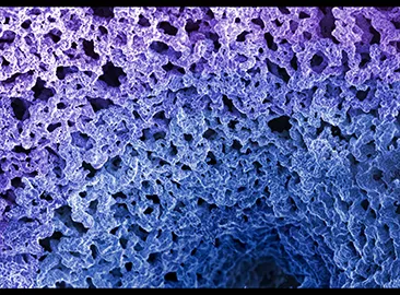 color microscopic image showing a highly porous material with interconnected openings and a textured blue-to-purple surface.