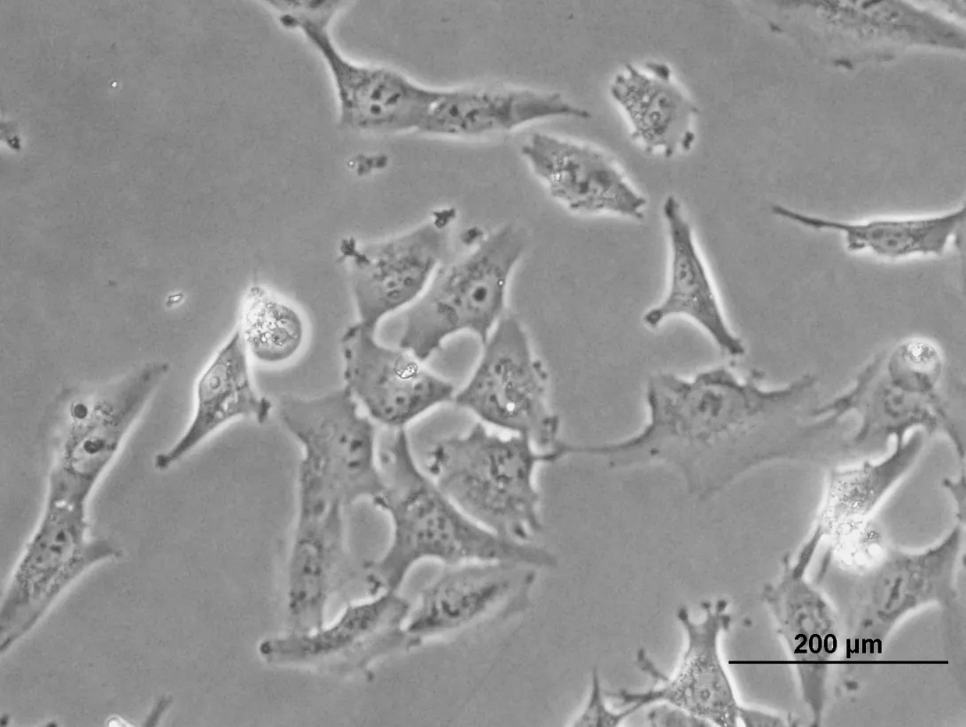 Control Cells