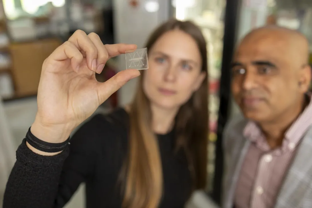 Two Georgia Tech researchers looking at a biomedical chip.