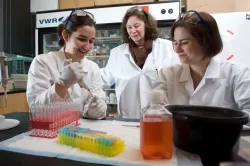 Barbara Boyan, PhD, Professor and Price Gilbert Jr. Chair in Tissue Engineering