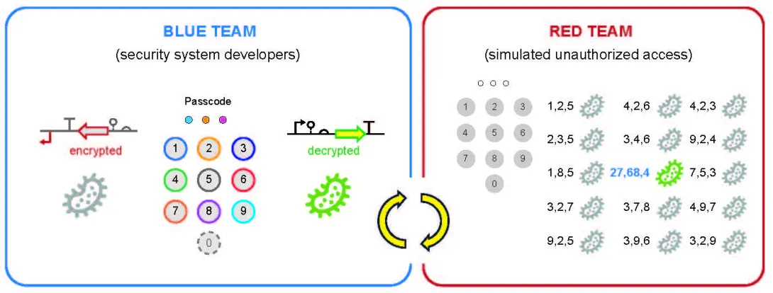 To evaluate the GeneLock technology, the researchers organized a blue team and a red team into a biohackathon.