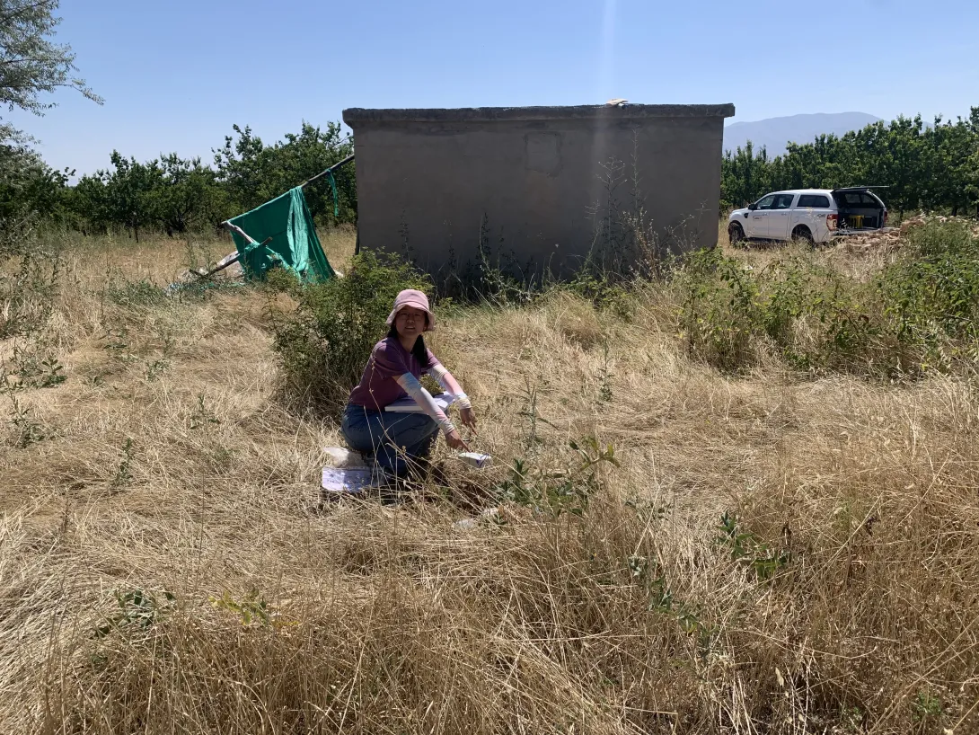 Georgia Tech graduate student Chang Ding pointing at a deployed seismic node in Southern Turkey