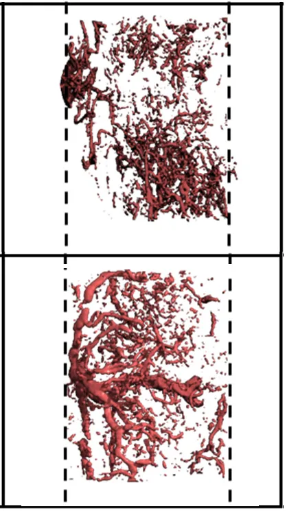 Guldberg Research Image