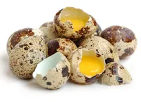 Quail eggs